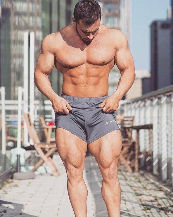 Agile Shorts - Gray Men Shorts Jed North 